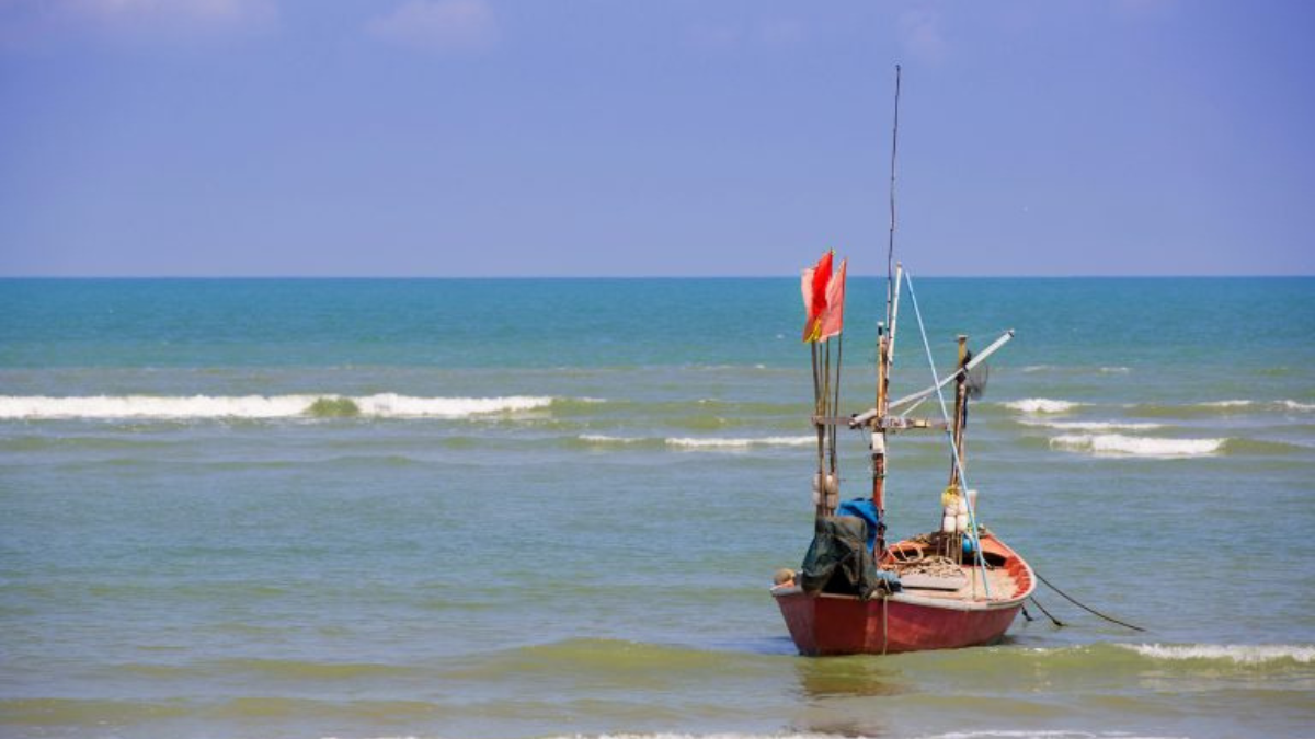 A Medida Provisória (MP) 1323/25 estabelece que os pescadores deverão fornecer dados biométricos (como impressões digitais) para receber o benefício do seguro-defeso – pagamento feito a quem não pode pescar durante o período de reprodução dos peixes. Fonte: Agência Câmara de Notícias