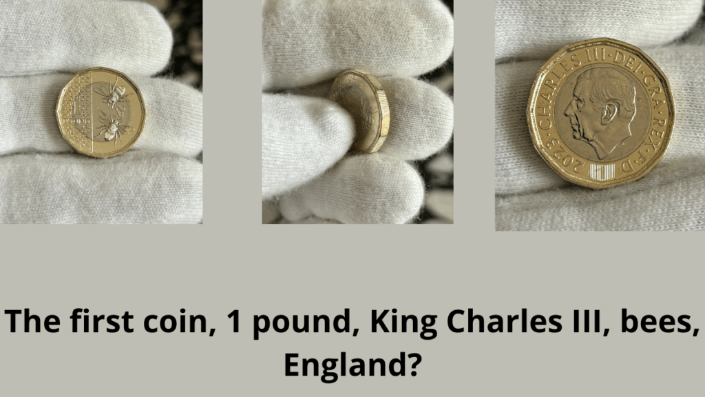 Image of the new UK £1 coin featuring King Charles III on the obverse and two bees on the reverse, symbolizing British wildlife.